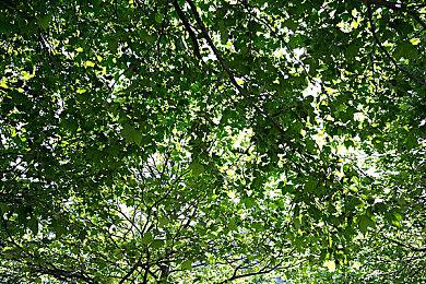 TGA 2022：《星球大战绝地：幸存者》中文实机预告