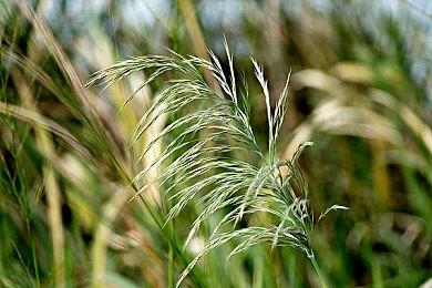 《仙乐传说：复刻版》中文上市宣传片公布 今日发售